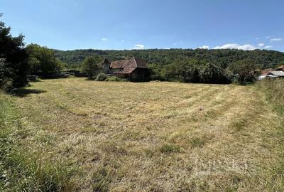 Teren Construcții intravilan de 1345 mp, în Valea Drăganului - 4