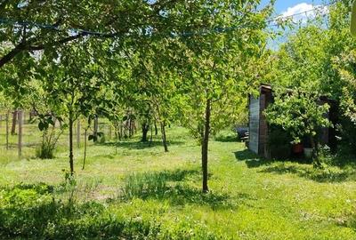 Casă cu 4 camere cu Teren 530 Mp în Răzvad - 5