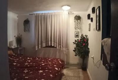 Casă cu 4 camere cu Teren 2300 Mp în Valea Borcutului - 8