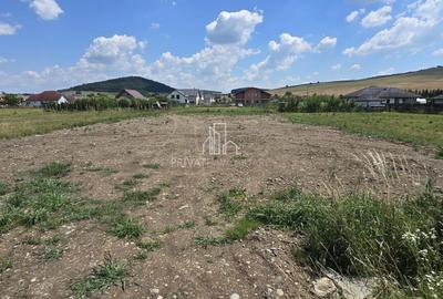 Teren Construcții intravilan de 1250 mp, în Sângeorgiu de Mureș - 5