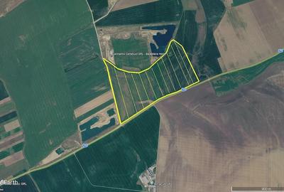Teren de 480000 mp, în Horia - 1