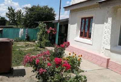 Casă cu 3 camere în Barcea - 4