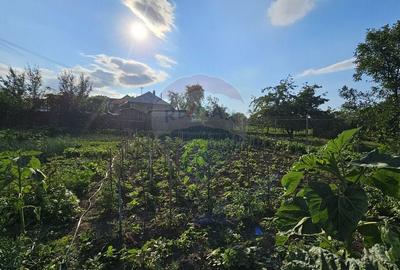 Casă individuală cu 4 camere cu Teren 1043 Mp în Dochia - 33