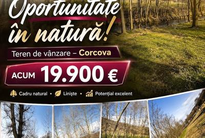 Teren de 10000 mp, în Corcova