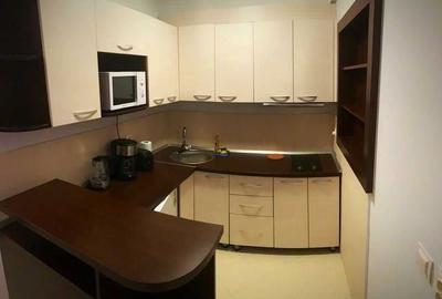 Apartament cu 2 camere decomandat în Furnica - 2