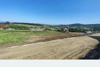 Teren de 1000 mp, în Tomești