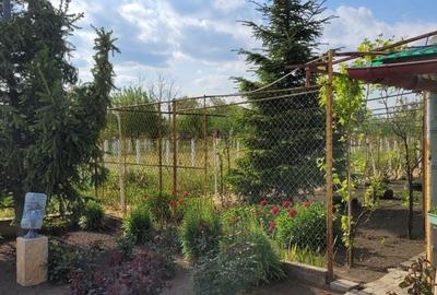 Casă cu 4 camere în Comana - 8