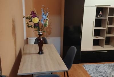 Apartament cu 2 camere decomandat în Sârbi - 5