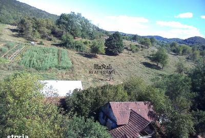Casă cu 2 camere cu Teren 9223 Mp în Baia de Criș