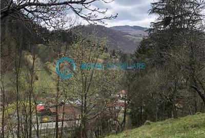Teren Construcții intravilan de 5041.41015625 mp, în Voineasa - 4