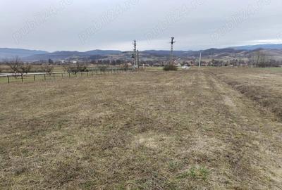 Teren de 3000 mp, în Vața de Jos - 4