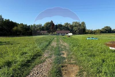 Teren Construcții intravilan de 600 mp, în Ocoliș - 3