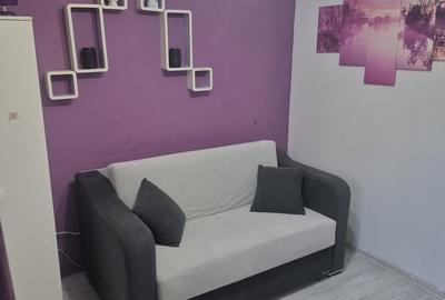 Garsonieră semidecomandată în Timișoara - 7