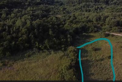 Teren de 5000 mp, în Micești - 12