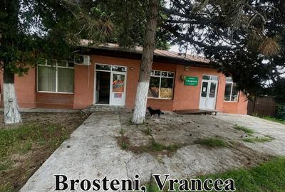 Spațiu comercial, de 110 mp, în Broșteni - 1
