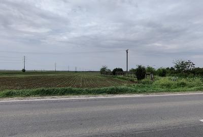 Teren de 7500 mp, în Centură - 1