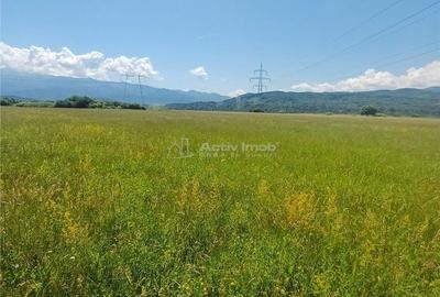 Teren de 2300 mp, în Central