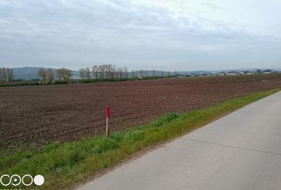 Teren Construcții intravilan de 5000 mp, în Holboca - 9