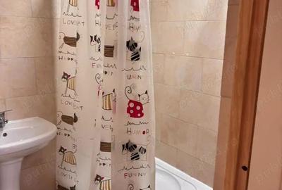 Apartament cu 2 camere semidecomandat în Lugoj - 6