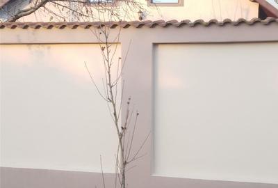 Casă cu 5 camere cu Teren 956 Mp în Balotești