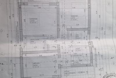Casă cu 4 camere cu Teren 250 Mp în Gai