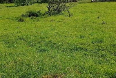 Teren de 4000 mp, în Valea Borcutului