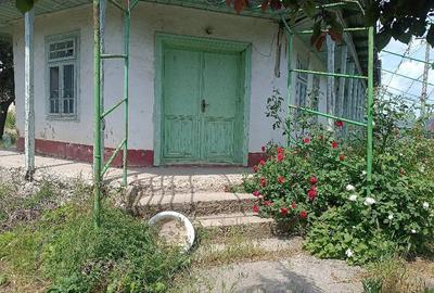 Casă cu 4 camere cu Teren 1490 Mp în Tămăoani - 1