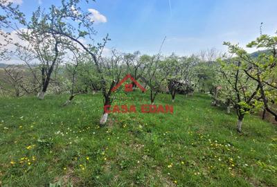 Casă individuală cu 3 camere cu Teren 1906 Mp în Breaza - 5