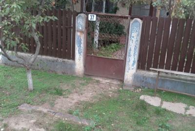 Teren de 1300 mp, în Drăgănescu - 5