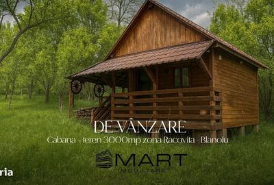 Spațiu comercial, în Blănoiu