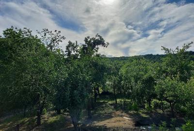 Casă cu 3 camere cu Teren 1000 Mp în Oteștii de Jos - 1