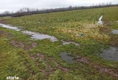 Teren de 833 mp, în Stolnici - 3