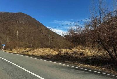 Teren de 1700 mp, în Brăzești - 4