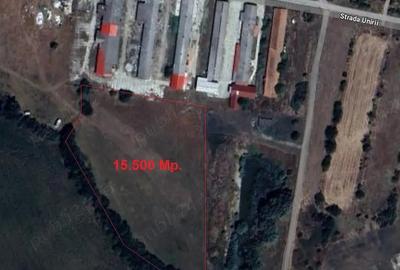 Teren de 15500 mp, în Macea - 1