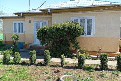 Casă cu 4 camere cu Teren 3210 Mp în Constantinești