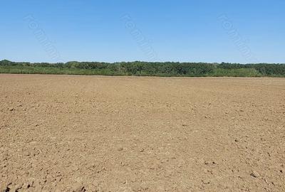 Teren de 4600 mp, în Central