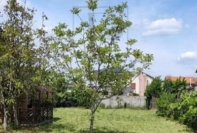 Teren de 600 mp, în Dumbrăvița