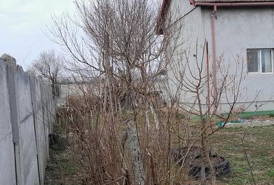 Casă cu Teren 11000 Mp în Pluta - 9
