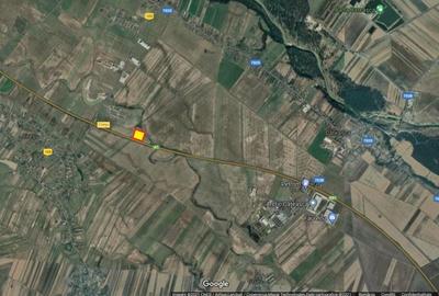 Teren Construcții intravilan de 10000 mp, în Căteasca - 1