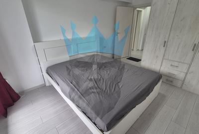 Apartament cu 2 camere decomandat, mobilat în Theodor Pallady - 12
