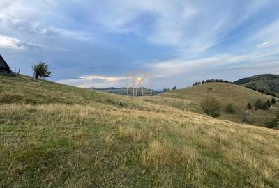 Teren extravilan de 14526 mp, în Rășinari - 4
