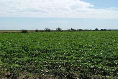 Teren de 10486 mp, în Roata de Jos - 5