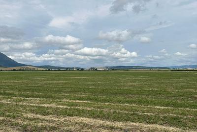 Teren agricol extravilan de 10000 mp, în Hălchiu - 4