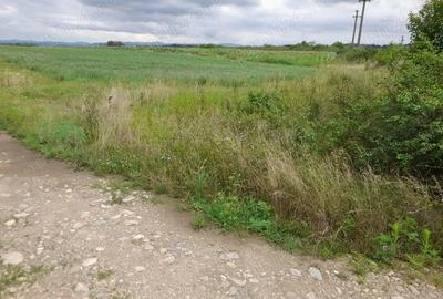 Teren de 4100 mp, în Pricaz - 1