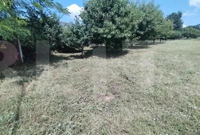 Teren de 3000 mp, în Central - 1