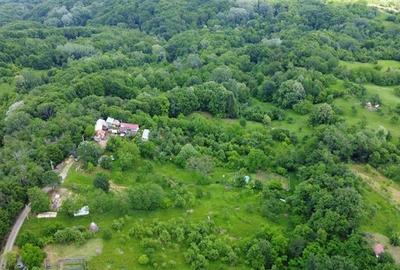 Teren Construcții intravilan de 1500 mp, în Priba - 7
