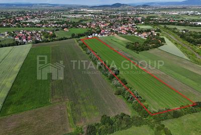 Teren Construcții intravilan de 33737 mp, în Stupini - 2