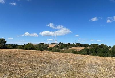 Teren de 17800 mp, în Șinteu