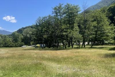 Teren de 16800 mp, în Valea lui Stan - 2