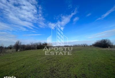 Spațiu comercial, de 10,000 mp, în Gai